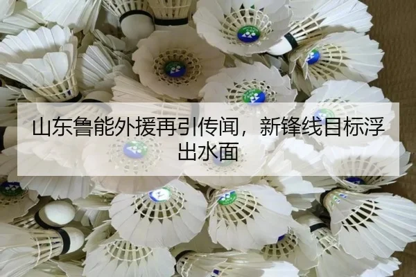 shan-dong-lu-neng-wai-yuan-zai-yin-chuan-wen-xin-feng-xian-mu-biao-fu-chu-shui-mian-2-122.jpg